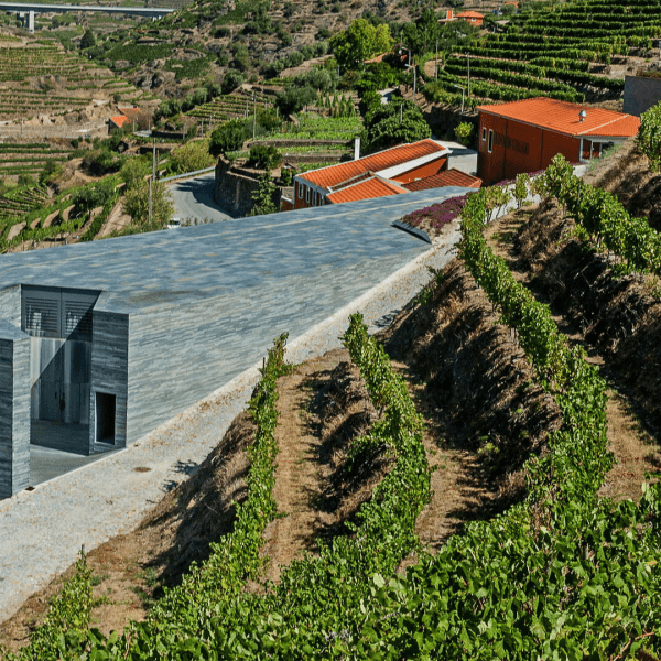 QUINTA DO VALLADO 